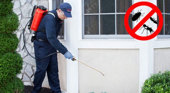 Dargeçit Böcek ve Haşere İlaçlama böcek ilaçlama ve haşere kontrolü — ilaclama-tr.com